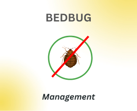 home-services-bedbug