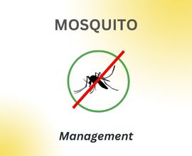 home-services-mosquito