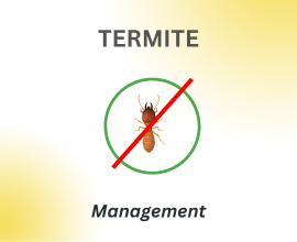 home-services-termite